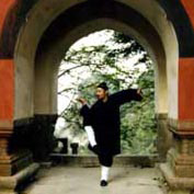 Der Meister von Wudangshan